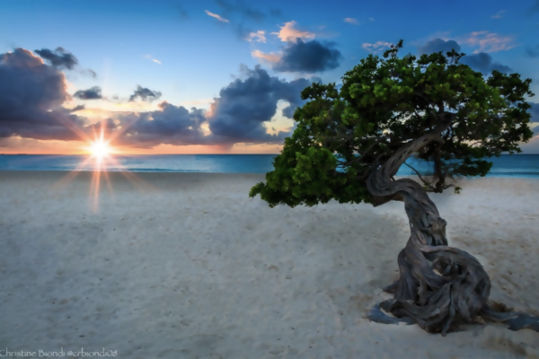 A New Nature Reserve and More Hotel News From Aruba